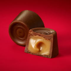 ROLO® Rich Chocolate Caramels Candy Share Pack, 9.5 oz